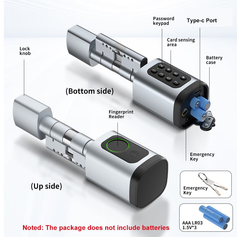 Raykube v1 tuya ble tt lock fe - Home Automation System Diy avaliação e preço
